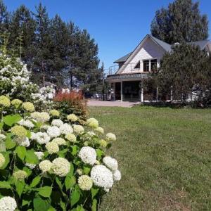 Willipu Guesthouse