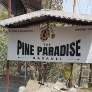 The Pine Paradise (Stag not Allowed)