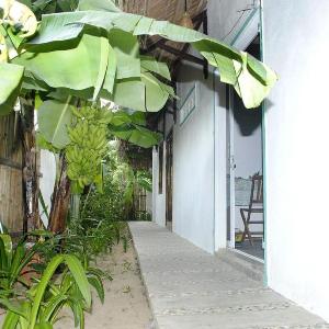 Small Family Homestay