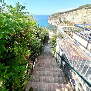 Luxury Villa La Balena Blu