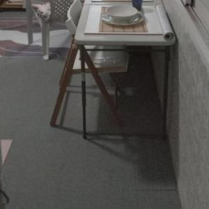 Luz de Regina Bahia