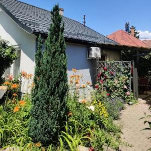 Lenart House 1
