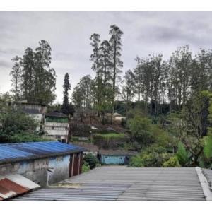 Birdwing Cottage Munnar