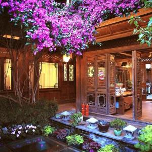 佬树客栈 Big Tree Guesthouse - Free Laundry & Coffee