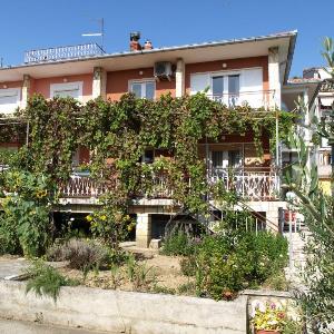 Apartments Darinka Beg