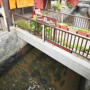 Kanazawa Guesthouse Pongyi