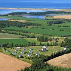 Swept Away Cottages