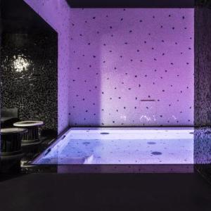 Hotel Les Bains Paris