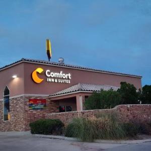 Hotels near Albert J. Lyon Event Center - Comfort Inn & Suites I-25 near Spaceport America