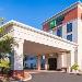 Holiday Inn Express Hotel & Suites Tampa-Anderson Road-Veterans Exp an IHG Hotel