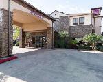 East Columbia Texas Hotels - Comfort Suites Lake Jackson Clute