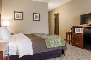 Comfort Inn Edinburg South, Edinburg