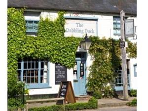 The Dabbling Duck, Kings Lynn