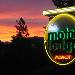 Hotels near Yavapai College - The Motor Lodge