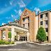 The Coves at Smith Mountain Lake Hotels - Comfort Inn Airport Roanoke