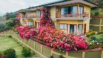 Uvita Costa Rica Hotels - Hotel Ficus - Monteverde