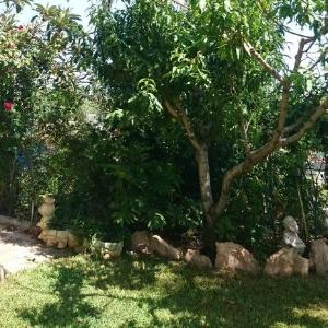 La Cuina De Paqui