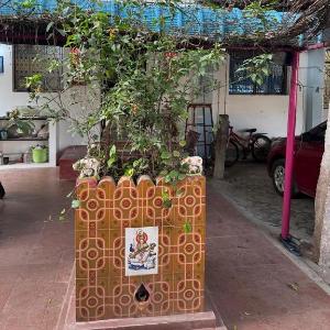 AVVAI Home Stay