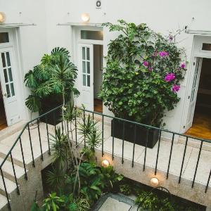 Stylish Colonial Stay in Roma Norte W Rooftop 8BR