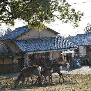 The Deer Park Inn