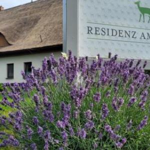 Reetdachhotel - Residenz am Ostufer