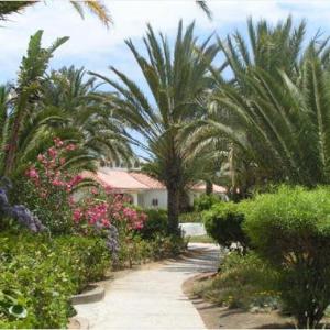 Sun Club Playa del Ingles