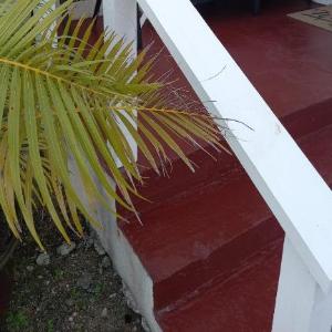 Cozy Suite Wifi Ac in Bedroom & 1 Minute Walk to West Coast Beach!