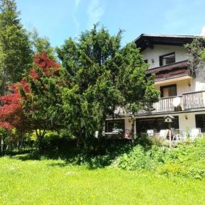 The Treehouse Backpacker Hostel