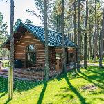 Pine Cabin