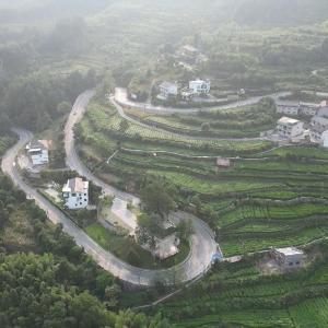 Pandora's Hilltop House Resort