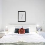 Charming Spacious Apartment in Central Prague Prague