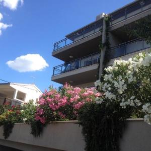 Apartment Božan