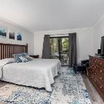 Timbers Studio 08 with Wintergreen Advantage Virginia