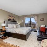 Timbers Studio 47 with Wintergreen Advantage