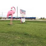 Flamingo motel marshalltown marshalltown Iowa