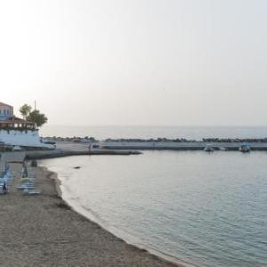 Castello Domus