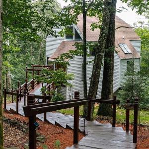 Black Dog Treehouse with Wintergreen Advantage