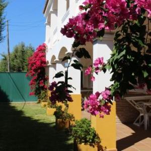 Apartamentos Bolonia Paraiso