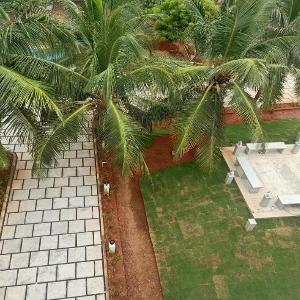 Natures Vibe Beach Resort