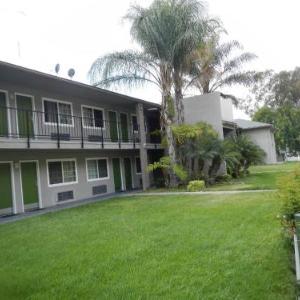 Hotels near Frank G Bonelli Regional Park - Lemon Tree Motel