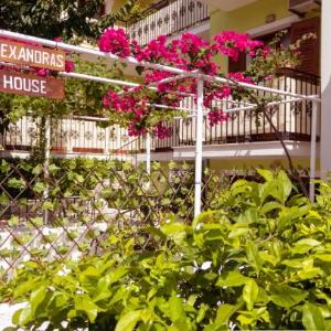 Alexandra's House