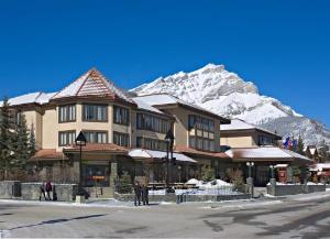 Elk + Avenue Hotel, Banff