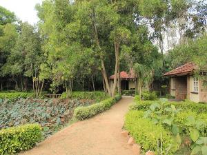 Tiger Trails Resort, Bandhavgarh