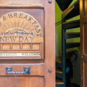 B&B New Day