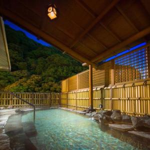 Hakone Pax Yoshino
