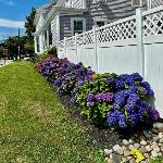 Historic Mystic Home Walk to Seaport and Downtown