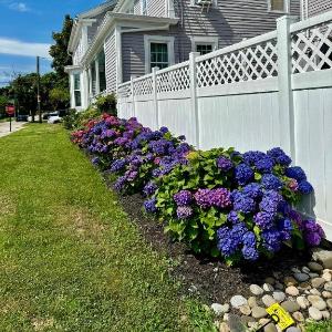 Historic Mystic Home Walk to Seaport and Downtown