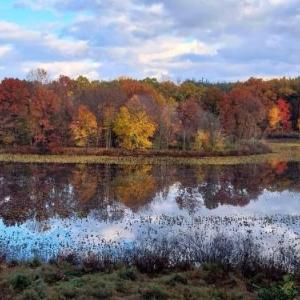 Smitten in da Mitten - 18 acres Arcades High Spd Web Hot Tub Pond!