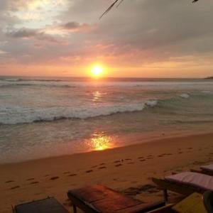 Main Reef Surf hotel