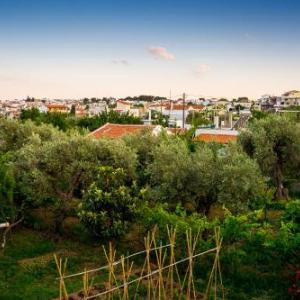 Eos Skiathos